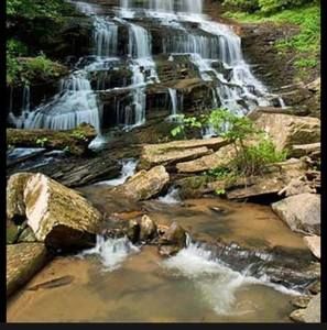 Meet your Posher, Todd